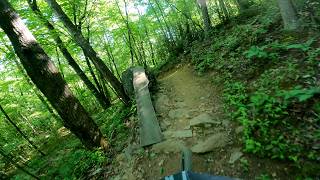 Ladybird Trail ‍♂️ Fast Berms, Rock Hits...