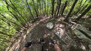 Pumba - Monte Morello