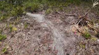 Palmetto Trail Venice FL