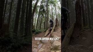 Tetter Totter in a Log?  Only on the North...