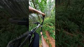 POV: You’re dropping into a line that took 3...