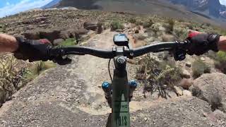Kibbles-n-Bits - Downhill