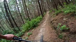 Locomotion @ Christchurch Adventure Park.