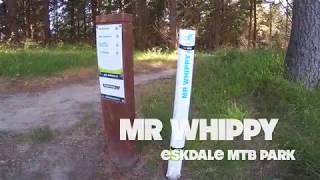 Mr Whippy @ Eskdale MTB Park