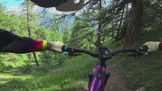 Gibji Intro and Gibji trails, Rosswald,...