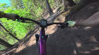 Teelwald trail, full send, Switzerland,...