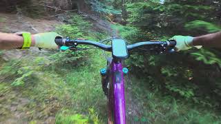 Bärugrüebe trail, Switzerland, POV, eMTB,...