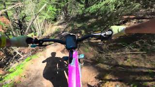Diebuwald trail, Valais, Switzerland, POV,...