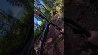 FTR to Rollercoaster