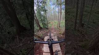 Fun log ride with a few good jumps.
