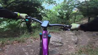 Chamouère trail, Fully, Valais, POV, eMTB,...