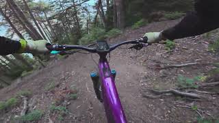 Forêt de Chibo trail, Fully, Valais, POV,...