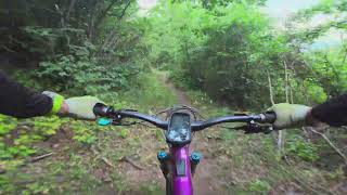 Forêt de Beudon trail, Fully, Valais, eMTB,...