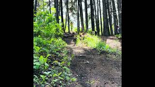 McKenzie Trail Bench