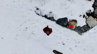 Drone Cinematography: Winter Flight! l Feb 1, 2026