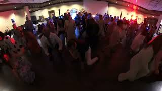 Nenette @ 65 l Video 2