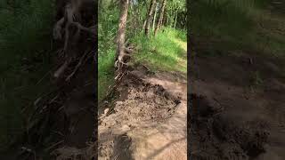 Area 53: Dirt Jumps, Gap Drops,  Gap Jumps ,...