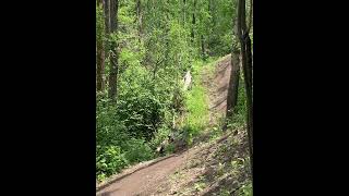 Smooth line in Area 52 with EMTB GasGas Boys
