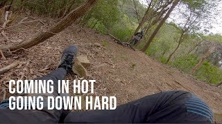 Clipping a tree and coming down HARD on...