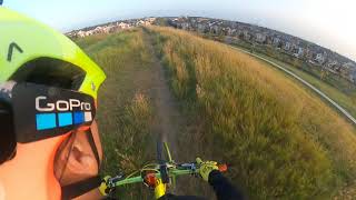 Ride for the Day