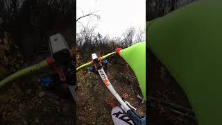 Sliver trail l Oct 20, 2024