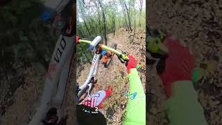 Back to School trail