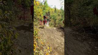 Sure Shot l 2 PoV’s