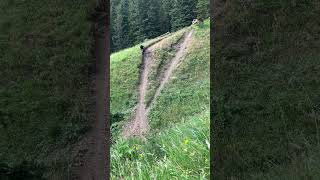 T-Dub trail , TTF’s and the Gnar