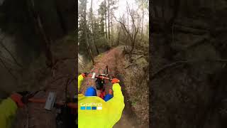 Root Canal trail with Bel
