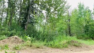 Terwillegar Gap Jump / Summer and Fall