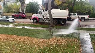 Sod and grass maintenance