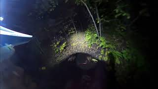 Night Ride: Gnome trail