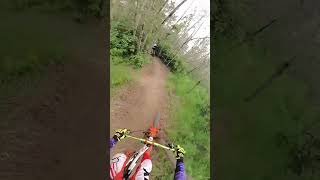 Squeeze my Lemon trail and Sigaleps MTB in front