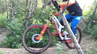 Lazer Wolf trail