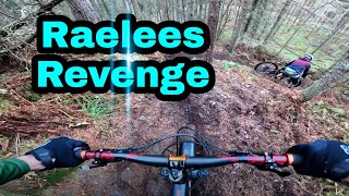 Yair Raelees Revenge