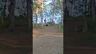 SilverBerry Dirt Jumps