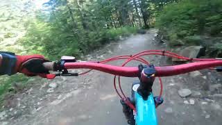 Whistler 2022: B Line trail sir Mike’s PoV