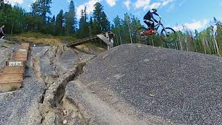Buddy on the left doesn’t like the drop off