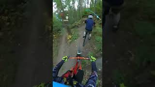 Following Rom and Ryan