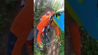Disciple 13 trail (PoV 2)