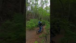 Upper Cambodia trail