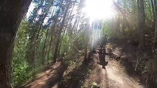 Masters Degree trail: Wooden Bridges and...