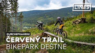 Červený trail - Bikepark Deštné  | LINES