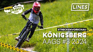 Streckenvorschau aAGS 2024 #3 - Bikepark...