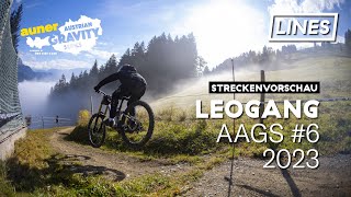 Streckenvorschau aAGS 2023 #6 - Bikepark...