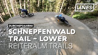 Schnepfenwald Trail (lower section) -...