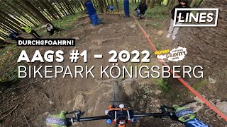 Winning Run  auner Austrian Gravity Series...