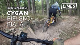 Cygan - Bielsko Biala  | LINES