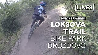Loksova Trail - Bike park Drozdovo  | LINES