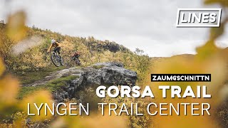 Biken am Lyngenfjord | Gorsa Trail | LINES